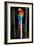 Scarlet Macaw's Feathers-Howard Ruby-Framed Photographic Print