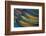 Scarlet Macaw Wing Feathers Fan Design-Darrell Gulin-Framed Photographic Print