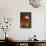 Scarlet Macaw-Tony Camacho-Framed Premier Image Canvas displayed on a wall