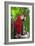 Scarlet Macaw-null-Framed Photographic Print