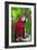 Scarlet Macaw-null-Framed Photographic Print