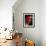 Scarlet Macaw-Niall Benvie-Framed Photographic Print displayed on a wall