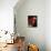 Scarlet Macaw-Niall Benvie-Mounted Photographic Print displayed on a wall