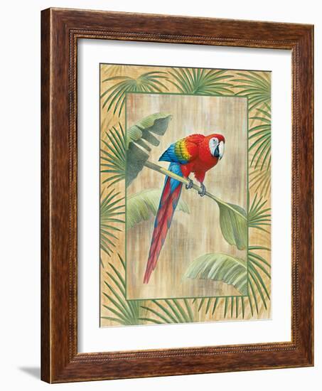 Scarlet Macaw-Ron Jenkins-Framed Art Print