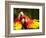 Scarlet Macaws at Zoo Ave Park, Outside San Jose-Paul Souders-Framed Photographic Print