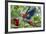 Scarlet Macaws, Costa Rica-null-Framed Photographic Print