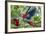 Scarlet Macaws, Costa Rica-null-Framed Photographic Print