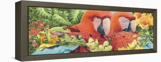 Scarlet Macaws-Durwood Coffey-Framed Premier Image Canvas