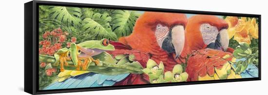 Scarlet Macaws-Durwood Coffey-Framed Premier Image Canvas