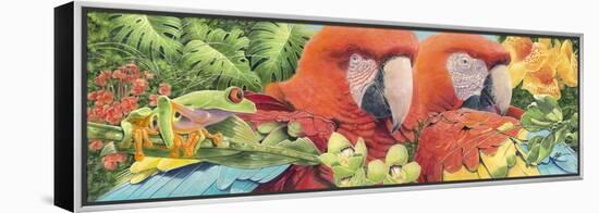 Scarlet Macaws-Durwood Coffey-Framed Premier Image Canvas