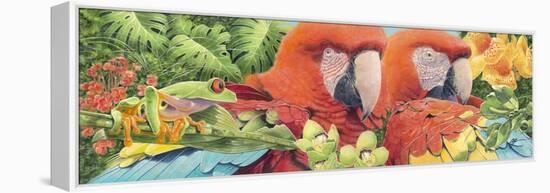 Scarlet Macaws-Durwood Coffey-Framed Premier Image Canvas