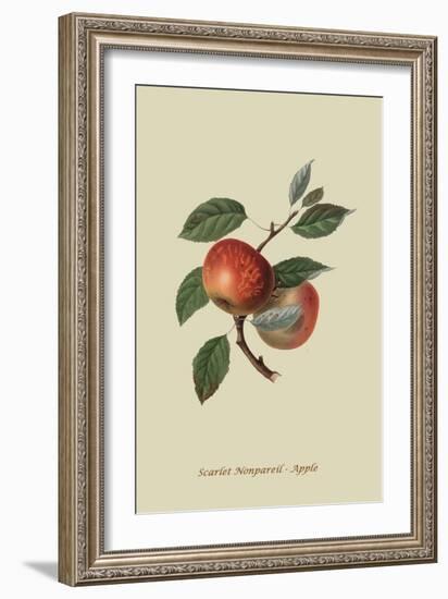 Scarlet Nonpareil - Apple-William Hooker-Framed Art Print