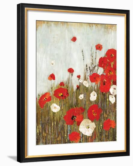 Scarlet Poppies-Asia Jensen-Framed Art Print