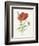 Scarlet Poppy-Gwendolyn Babbitt-Framed Premium Giclee Print