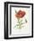 Scarlet Poppy-Gwendolyn Babbitt-Framed Premium Giclee Print