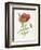 Scarlet Poppy-Gwendolyn Babbitt-Framed Premium Giclee Print