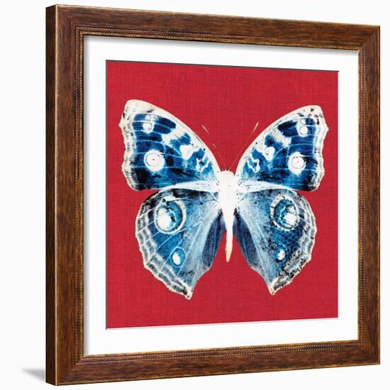 Scarlet Red Pop Butterfly-Christine Caldwell-Framed Art Print
