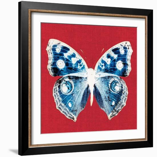 Scarlet Red Pop Butterfly-Christine Caldwell-Framed Art Print