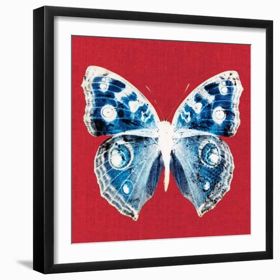 Scarlet Red Pop Butterfly-Christine Caldwell-Framed Art Print