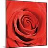 Scarlet Rose-Joseph Eta-Mounted Art Print