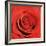 Scarlet Rose-Joseph Eta-Framed Art Print