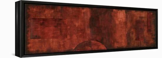 Scarlet Serendipity II-Nancy Slocum-Framed Stretched Canvas