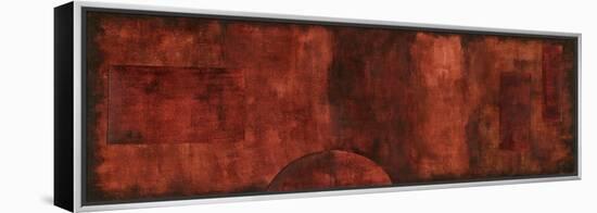 Scarlet Serendipity II-Nancy Slocum-Framed Stretched Canvas