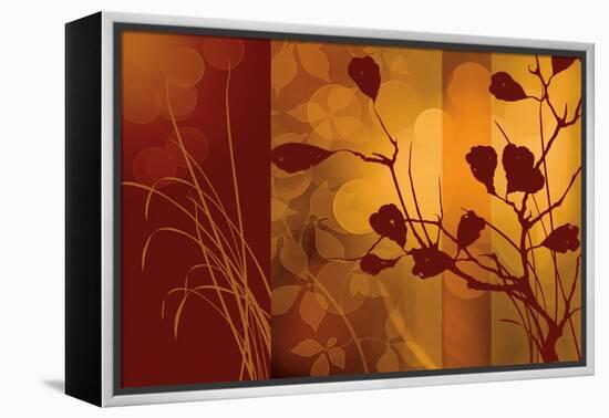 Scarlet Silhouette-Edward Aparicio-Framed Stretched Canvas