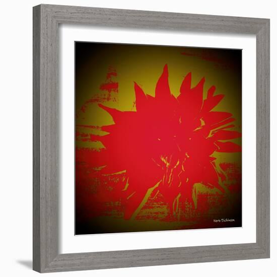 Scarlet Splash-Herb Dickinson-Framed Photographic Print