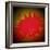 Scarlet Splash-Herb Dickinson-Framed Photographic Print
