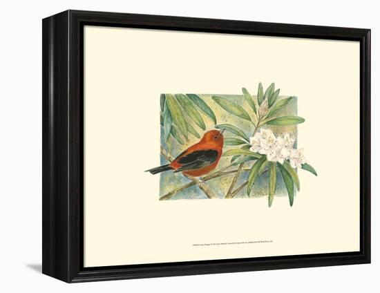 Scarlet Tanager-Janet Mandel-Framed Stretched Canvas