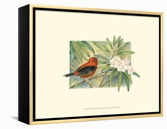 Scarlet Tanager-Janet Mandel-Framed Stretched Canvas