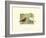 Scarlet Tanager-Janet Mandel-Framed Premium Giclee Print