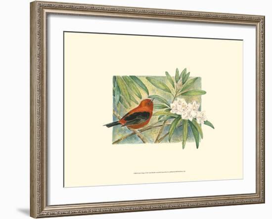 Scarlet Tanager-Janet Mandel-Framed Art Print