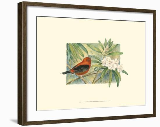 Scarlet Tanager-Janet Mandel-Framed Art Print