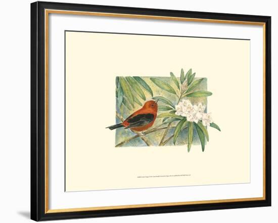 Scarlet Tanager-Janet Mandel-Framed Art Print