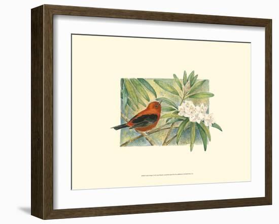 Scarlet Tanager-Janet Mandel-Framed Art Print