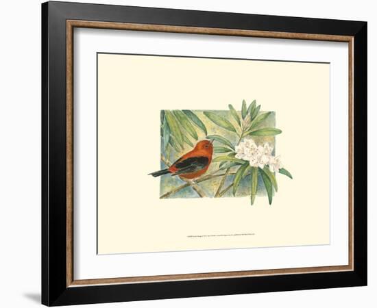 Scarlet Tanager-Janet Mandel-Framed Art Print