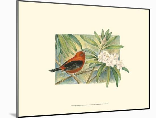 Scarlet Tanager-Janet Mandel-Mounted Art Print