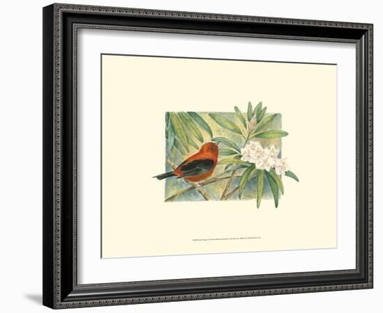 Scarlet Tanager-Janet Mandel-Framed Art Print