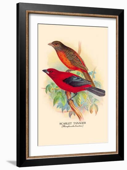 Scarlet Tanager-Arthur G. Butler-Framed Art Print