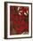 Scarlet Textile II-Norman Wyatt Jr.-Framed Art Print