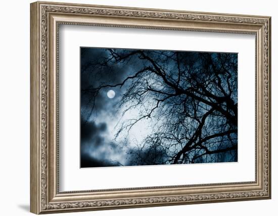 Scary Dark Scenery with Naked Trees, Full Moon and Clouds-pashabo-Framed Photographic Print