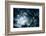 Scary Dark Scenery with Naked Trees, Full Moon and Clouds-pashabo-Framed Photographic Print