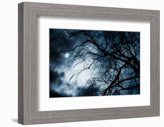 Scary Dark Scenery with Naked Trees, Full Moon and Clouds-pashabo-Framed Photographic Print