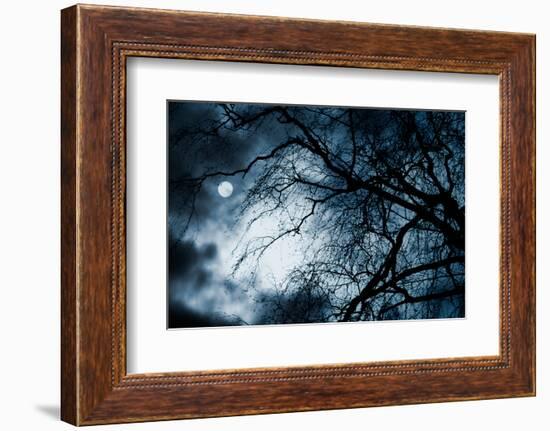 Scary Dark Scenery with Naked Trees, Full Moon and Clouds-pashabo-Framed Photographic Print