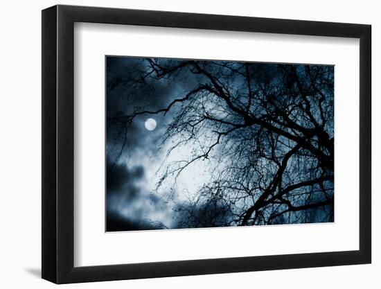 Scary Dark Scenery with Naked Trees, Full Moon and Clouds-pashabo-Framed Photographic Print