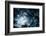Scary Dark Scenery with Naked Trees, Full Moon and Clouds-pashabo-Framed Photographic Print