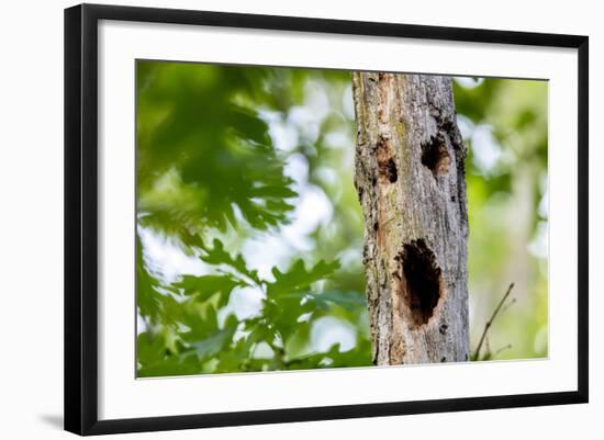 Photo, , large