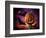 Scary Pumpkin and Bats-Matthias Kulka-Framed Giclee Print